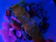 -长沙猫歌音乐餐厅(湖南女子大学店)