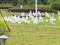 -凤翔首邑温泉度假村
