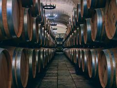 -北京张裕爱斐堡酒庄