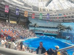 -海合安成都极地海洋公园