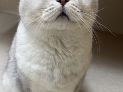 -爱妮康宠物医院·干细胞免疫细胞·肿瘤·心脏(张江店)