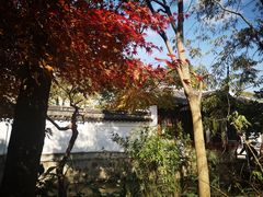 -秋霞圃