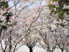 -幕燕滨江·长江观音景区
