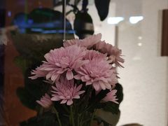 -Cafe on warm(丹霞店)