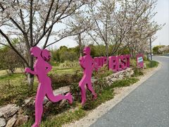 -贡湖湾湿地公园