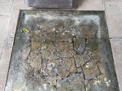 -青龙山生态文化旅游区(慈云寺)