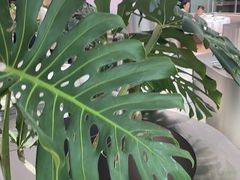 -枕水江南(铁西万象汇店)
