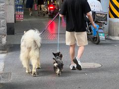 -安福路
