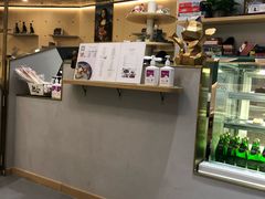 -飞行喵MR PILOT|猫舍·猫咖(静安大融城店)