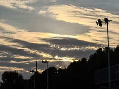 -大兴滨河森林公园