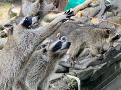 -宁波野生动物园