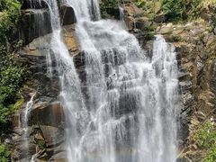 -海南热带雨林国家公园吊罗山景区
