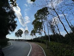 -火炉山森林公园