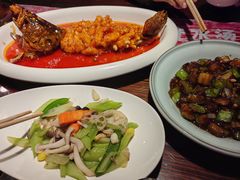 -七菜馆·东北菜·蒸饺(文体路店)