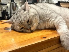 -隅cafe(傅厚岗店)