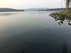 -西湖外事游船(花港观鱼码头)