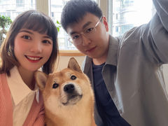 -喜柴咖啡·柴犬狗咖
