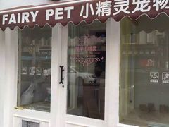 -宠伴小精灵宠物店(鼓楼店)