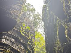 -梭布垭石林景区