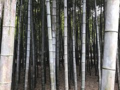 -孙武文化园-停车场