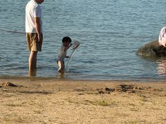 -瑶湖郊野森林公园
