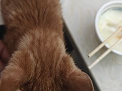 -老字号老马炕锅烤肉城