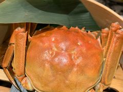 -南京大牌档(凯德大峡谷店)