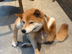 -三目仓咖啡(贤南路店)