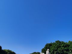 -金鸡山公园
