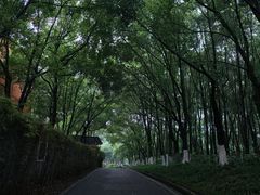 -竹涧府