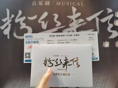 -合肥大剧院