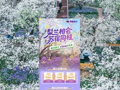 -江苏三台山国家森林公园