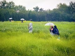 -汉长安城未央宫国家考古遗址公园