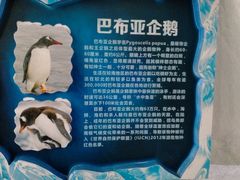 -南昌海洋公园