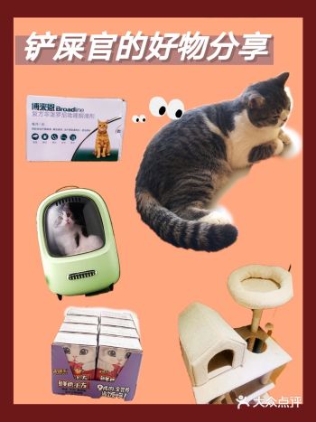 PETKIT小佩新风猫包 这个猫包颜值很高