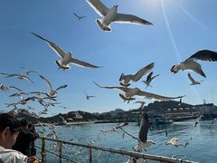 -海驴岛(荣成市)