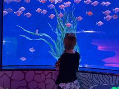 -沈阳海洋探索中心