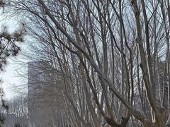 -郑州植物园