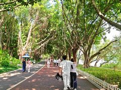 -南宁南湖公园