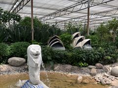 -南宫五洲植物乐园