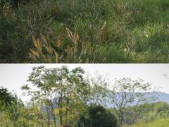 -良渚古城遗址公园