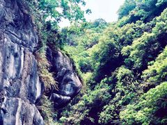 -太鲁阁公园