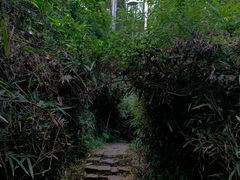 -水濂山森林公园