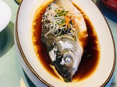 -隐山栖(鸿泰佳园店)