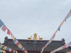 -西安市广仁寺