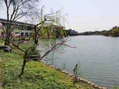 -上海怡沁园度假酒店