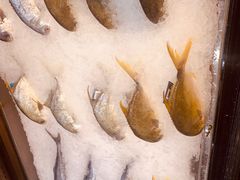 -T11生鲜超市(朝阳公园店)