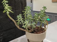 -汇盈·棋牌会所