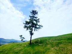 景点-南京银杏湖乐园