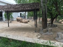 -西安秦岭野生动物园